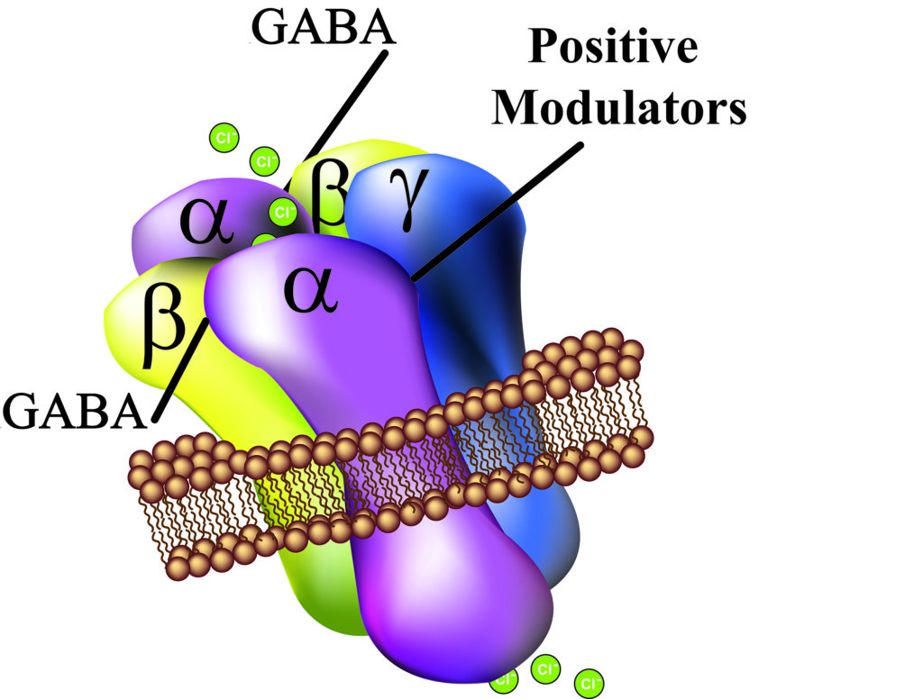 Pantherics, Inc. • GABA(A) Receptor